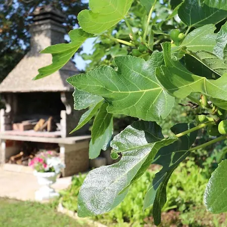 In - Insel Krk 14540