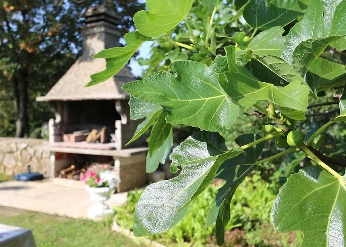 In - Insel Krk 14540